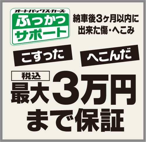 ふっかつサポート、最大3万円まで保証